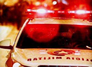 Menino de 4 anos é atacado por cão em Penha; babá é autuada por abandono de incapaz