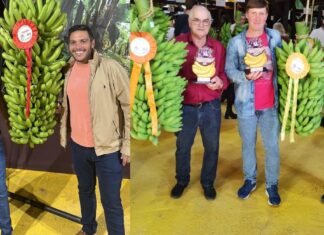 Bananicultores de Balneário Piçarras conquistam títulos na 29ª Festa da Banana