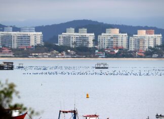 Eleitorado de Penha cresce 25,2% desde as últimas eleições municipais