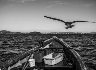 Livro e exposição fotográfica revelarão a essência da pesca artesanal de Penha