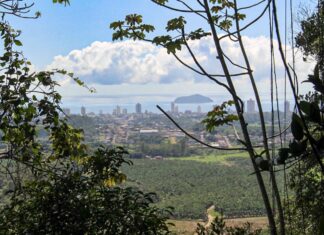 ONG SelvAge convida comunidade para evento “Um dia no Parque”