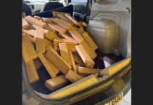 Adolescente é detido guiando automóvel na BR-101 com mais de 300 quilos de maconha