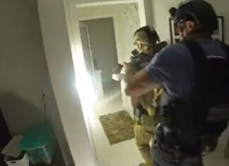 Assista à operação que prendeu estelionatários do ramo civil e imobiliário, em Balneário Piçarras