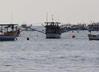 Comissão da Pesca Artesanal prepara audiência pública para discutir legislação pesqueira