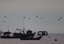 Comissão da Pesca Artesanal de Santa Catarina cobra inclusão do estado em grupo que revisa leis pesqueiras