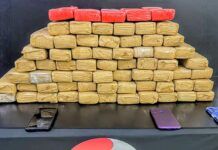 PMSC de Penha e BC prendem traficantes com 51 quilos de maconha