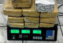 Balneário Piçarras: Justiça mantém prisão de traficante detido com mais de 10 quilos de maconha
