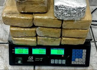 Balneário Piçarras: Justiça mantém prisão de traficante detido com mais de 10 quilos de maconha