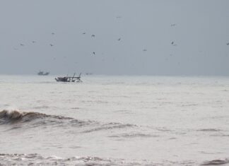 Pesca artesanal: vereadora manifesta opinião contrária ao projeto de naufrágio controlado