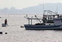 Pescadores e indústrias comemoram parecer contrário ao projeto sobre fim da pesca do arrasto