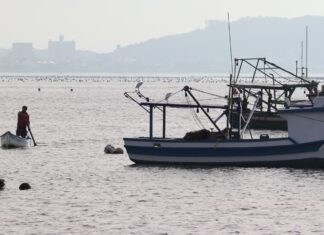 Pescadores e indústrias comemoram parecer contrário ao projeto sobre fim da pesca do arrasto