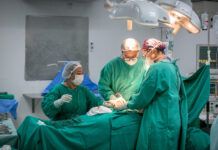 Como Santa Catarina se transformou em referência na doação e transplante de órgãos