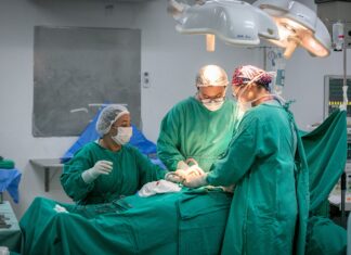 Como Santa Catarina se transformou em referência na doação e transplante de órgãos