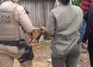 Causa animal será tema de audiência pública na Câmara de Penha