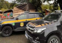 PRF e PF fazem apreensão histórica de maconha em Barra Velha: 6,5 toneladas