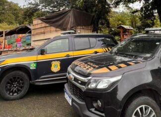 PRF e PF fazem apreensão histórica de maconha em Barra Velha: 6,5 toneladas