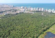 Parque Natural Rio Piçarras avança com estudo arqueológico e Plano de Manejo