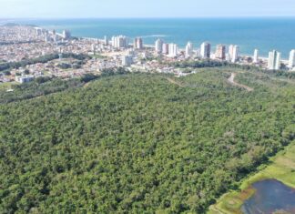 Parque Natural Rio Piçarras avança com estudo arqueológico e Plano de Manejo