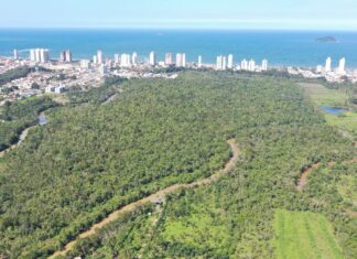 IMP espera ter Plano de Manejo do Parque Natural em até dois meses