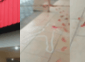 Escola estadual de Penha tem decoração de halloween que simula chacina
