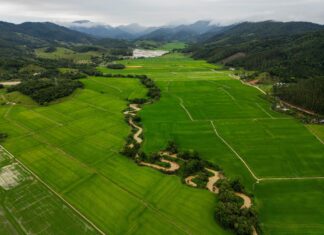 Parque Inundável Multiuso na Bacia do Rio Camboriú recebe Licença Ambiental Prévia