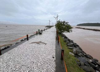 Bombeiros fazem buscas por homem que submergiu após pular no Rio Piçarras