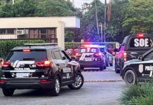 Polícia Civil deflagra maior operação do ano no Norte do estado e prende 40 pessoas