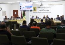Penha quer revogar proibição sobre vereador trocar de poder sem perder o mandato