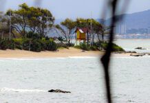 Bombeiros retomam as buscas por jovem que desapareceu na Praia da Saudade, em Penha