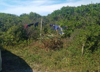 Verão: Fundema de Barra Velha flagra abusos de desrespeito às normais ambientais