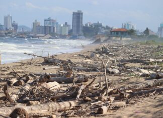 Praias de Barra Velha passam por operação de limpeza antes da temporada de verão