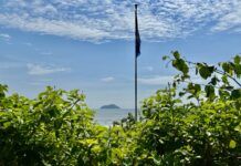 Teste afere balneabilidade própria e Bandeira Azul volta a ser hasteada em Balneário Piçarras