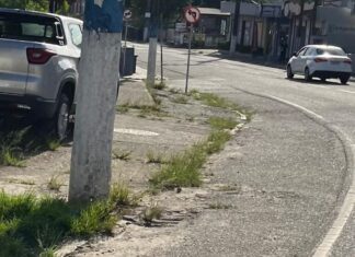 Vereador Duda Bueno (Cidadania) cobra Prefeitura por força-tarefa para limpeza urbana