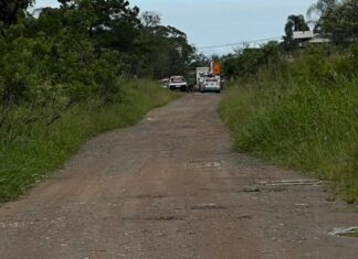 Querosene volta a ser alvo de ação das forças de segurança