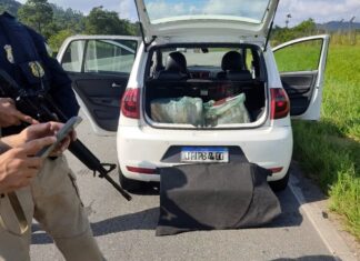 PRF localiza cigarros saborizados contrabandeados na BR-101 em Araquari