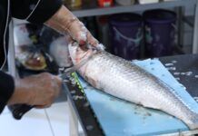 Escola de Arte Culinária Laci dos Santos Leite abre inscrições para novo curso de culinária
