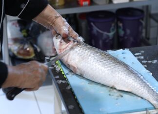 Escola de Arte Culinária Laci dos Santos Leite abre inscrições para novo curso de culinária