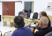 CPI da Educação: presidente quer finalizar investigação até final de março