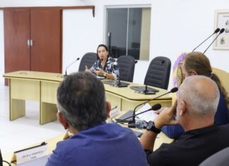 CPI da Educação: presidente quer finalizar investigação até final de março