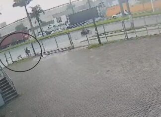 “Salvar a pessoa, é isso em primeiro lugar’, diz policial que salvou homem e seus dois cães
