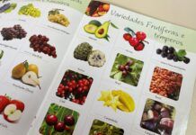 Balneário Piçarras: Secretaria de Agricultura e Pesca oferta mudas frutíferas e ornamentais abaixo do valor de mercado