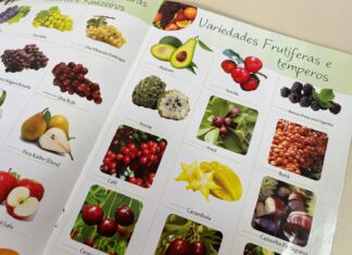 Balneário Piçarras: Secretaria de Agricultura e Pesca oferta mudas frutíferas e ornamentais abaixo do valor de mercado
