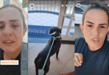 Resgate de pit bull: “A gente que faz o bem aqui nessa cidade é tratada dessa forma”, desabafa Manu do Adote Penha