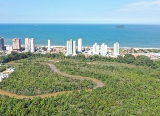 IMP realizará atividades com alunos da rede municipal na Semana da Água