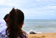 Tartaruga-verde resgatada é devolvida ao mar da Praia Grande, em Penha