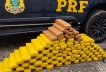 PRF localiza 80 kg de maconha em porta-malas de carro na BR-101, em Barra Velha
