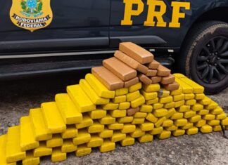 PRF localiza 80 kg de maconha em porta-malas de carro na BR-101, em Barra Velha