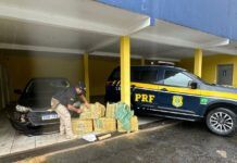 150 kg de maconha são encontrados em carro acidentado na BR-101 em Araquari