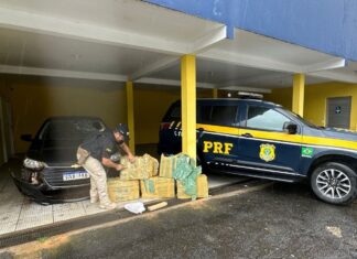 150 kg de maconha são encontrados em carro acidentado na BR-101 em Araquari