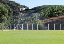 Luiz Alves inicia testes com “Controlador Biológico do Maruim”